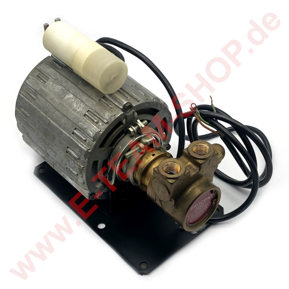 Pumpe Procon mit Motor Typ 11002718 165W 1,6A 230V mit Kondensator